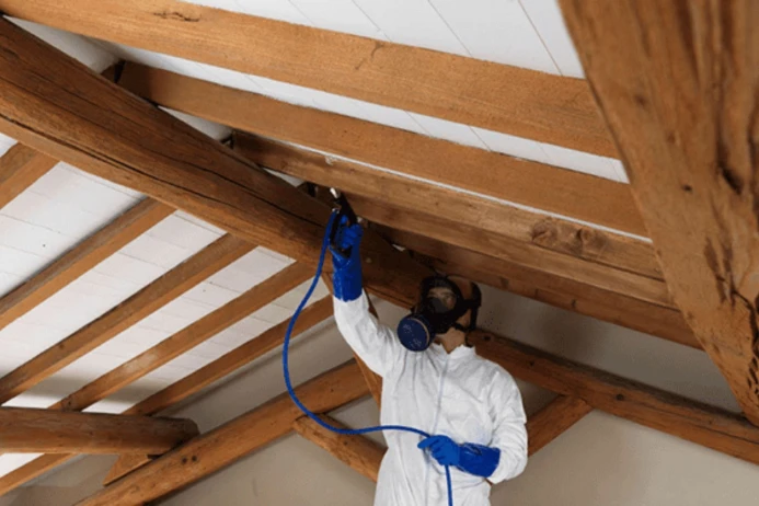 Traitement de charpente